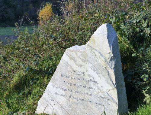 Brackfield Memorial Woods