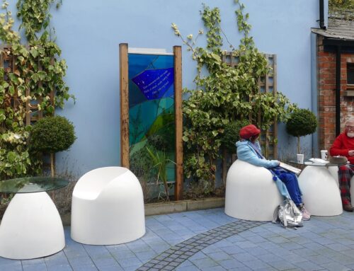 Garden of Reflection